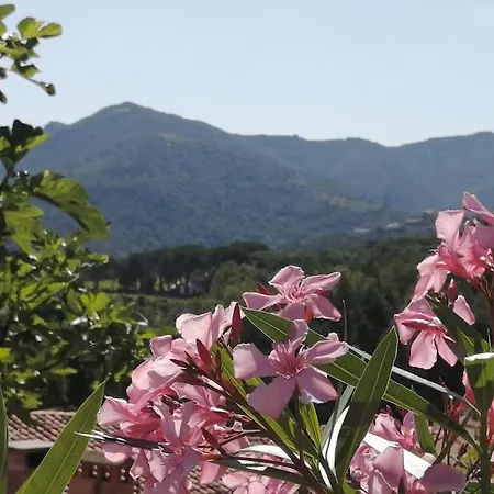 Le Clos De L'olivier * Laroque-des-Albères
